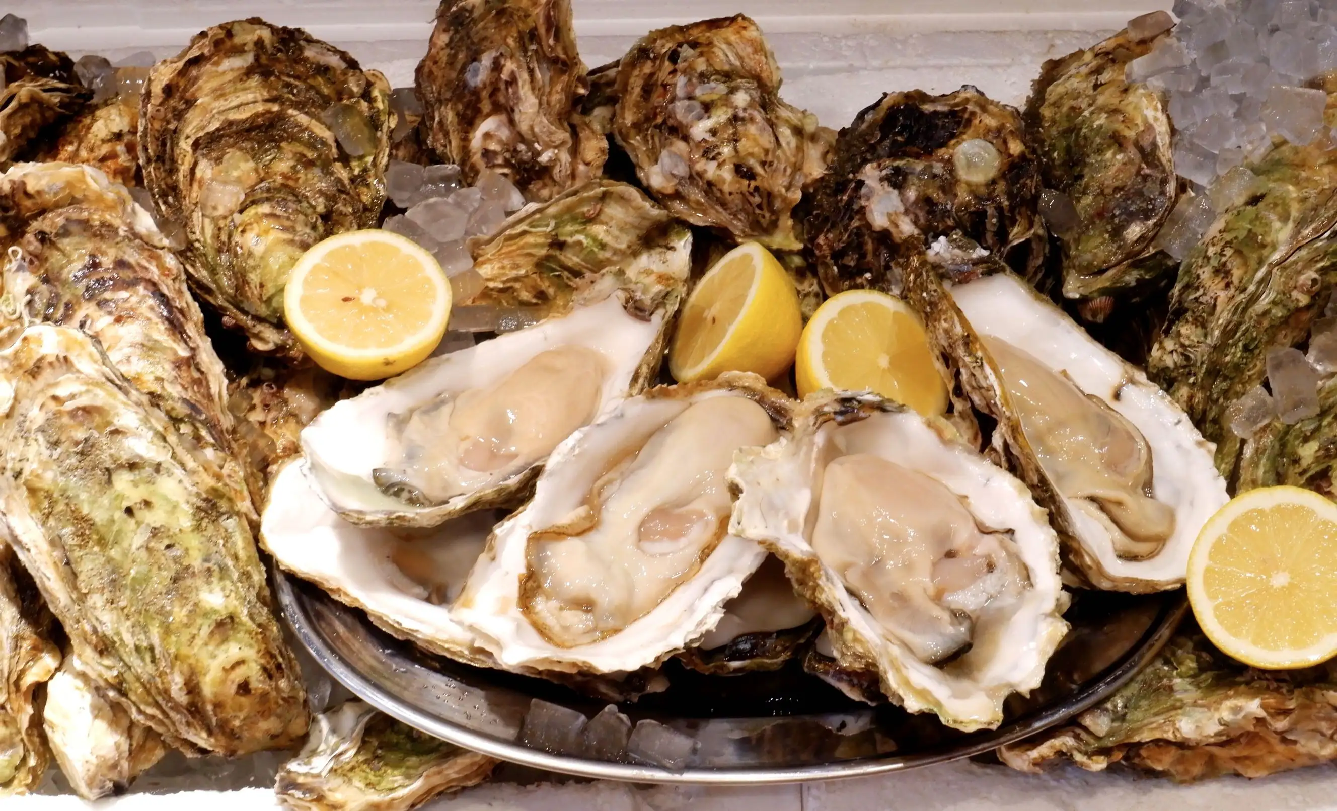 TSUKIJI OYSTER STAND イメージ